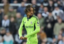 Har været indskifter for Harry Kane, men står over for et punktum i Premier League-