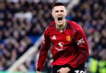 Carrick (og Berbatov) har reddet Sesko fra “Højlund-fælden”