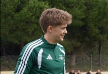 Danske Mads Bornholt vil hjælpe Rosenborg helt op til toppen