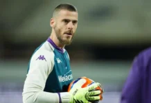 David De Gea skal erstatte landsholdets målmand i Premier League