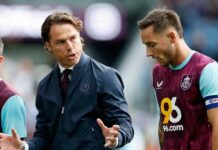 Vil have landsholdstræner Craig Bellamy efter at have annonceret Scott Parkers afgang