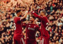 Overraskende Cody Gakpo-byttemulighed, mens Liverpool fortsætter deres jagt på en sensation på 150 millioner euro