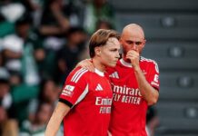 Tottenham bød 55 millioner euro på Andreas Schjelderup
