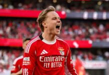 Forventer et stort bud på Andreas Schjelderup inden for 24 timer efter Cody Gakpos exit fra Liverpool