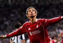 Meget gode nyheder for Liverpool-fans om Hugo Ekitike